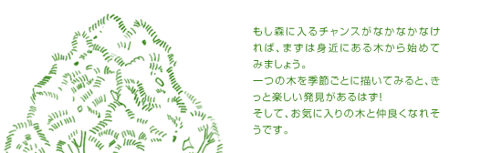 もし森に入るチャンスがなかなかなければ、まずは身近にある木から始めてみましょう。一つの木を季節ごとに描いてみると、きっと楽しい発見があるはず！そして、お気に入りの木と仲良くなれそうです