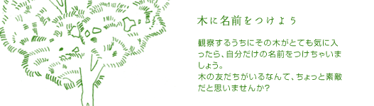 木に名前をつけよう 観察するうちにその木がとても気に入ったら、自分だけの名前をつけちゃいましょう。木の友だちがいるなんて、ちょっと素敵だと思いませんか?