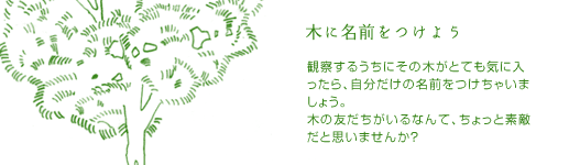 木に名前をつけよう　観察するうちにその木がとても気に入ったら、自分だけの名前をつけちゃいましょう。木の友だちがいるなんて、ちょっと素敵だと思いませんか？