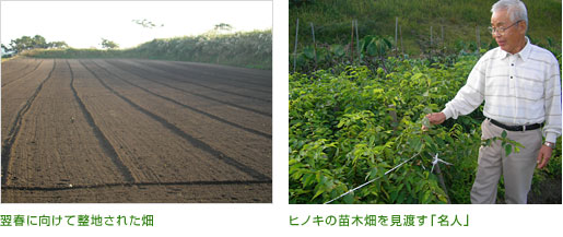 翌春に向けて整地された畑　ヒノキの苗木畑を見渡す「名人」