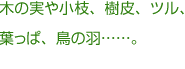 木の実や小枝、樹皮、ツル、葉っぱ、鳥の羽……。