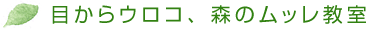 目からウロコ、森のムッレ教室