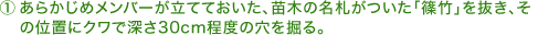 １．あらかじめメンバーが立てておいた、苗木の名札がついた「篠竹」を抜き、その位置にクワで深さ30cm程度の穴を掘る。