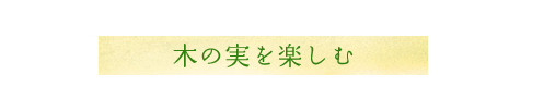 森遊びノート04　木の実を楽しむ