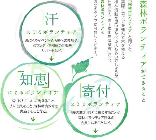 森林ボランティアができること　「森林ボランティア」と聞くと、実際に森に足を運んで木を植える植林活動を思い浮かべる人も多いでしょうが、社団法人「国土緑化推進機構」では、森林ボランティアを3つのタイプに分類しています。