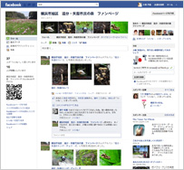 Facebook「横浜市旭区　追分・矢指市民の森　ファンページ」