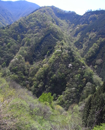 三峯神社付近からの眺望