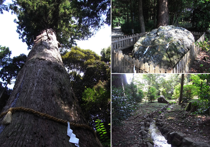 （左）ご神木の大杉（右上）古代祭祀場の跡地「つぶて石」（右下）境内を流れる小川。奥に「みそぎ岩」。