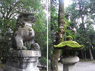 （左）狛犬（右）苔むした石灯篭  