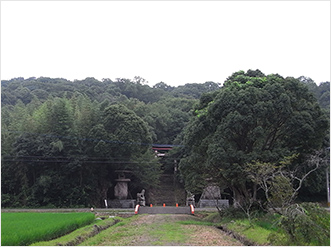 大尾山。手前には豊かな田んぼが広がっている。