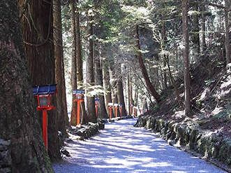 奥宮の参道。木漏れ日が心地よい。