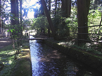 大鳥居の前を流れる禊川