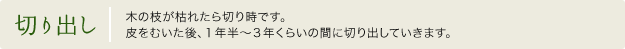 切り出し：木の枝が枯れたら切り時です。皮をむいた後、1年半〜3年くらいの間に切り出していきます。