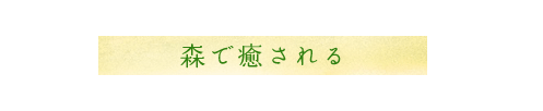 森遊びノート05　森で癒される