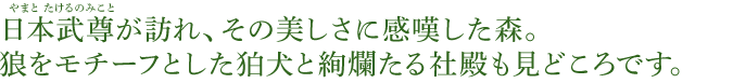 日本武尊（やまとたけるのみこと）が訪れ、その美しさに感嘆した森。狼をモチーフとした狛犬と絢爛たる社殿も見どころです。