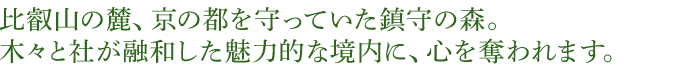 比叡山の麓、京の都を守っていた鎮守の森。木々と社が融和した魅力的な境内に、心を奪われます。