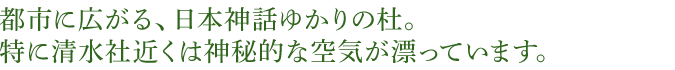 都市に広がる、日本神話ゆかりの杜。特に清水社近くは神秘的な空気が漂っています。