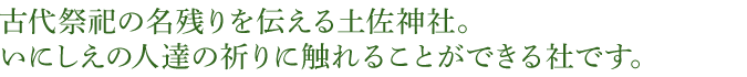 古代祭祀の名残りを伝える土佐神社。いにしえの人達の祈りに触れることができる社です。