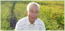 きれいな森をつくる苗
