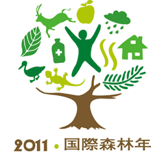 2011 国際森林年