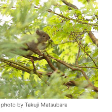 photo by Takuji Matsubara