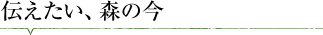 伝えたい、森の今