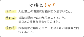 心構え3か条　その一：入山禁止の場所には絶対に入らないこと。　その二：採取は季節を味わう程度にすること。株ごとの乱獲などもってのほか。　その三：採取時節と場所とマナーをよく知る経験者と同行すること。