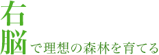 右脳で理想の森林を育てる