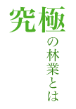 究極の林業とは