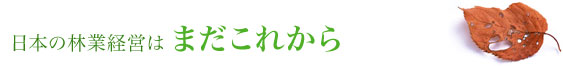 日本の林業経営はまだこれから