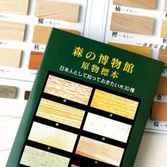 森の博物館 原物標本（国産材の樹種図鑑）