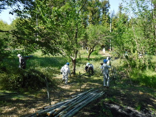 001_729-9.jpg