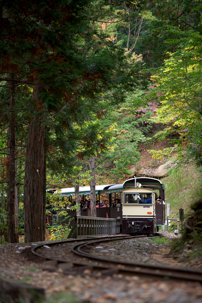 赤沢森林鉄道