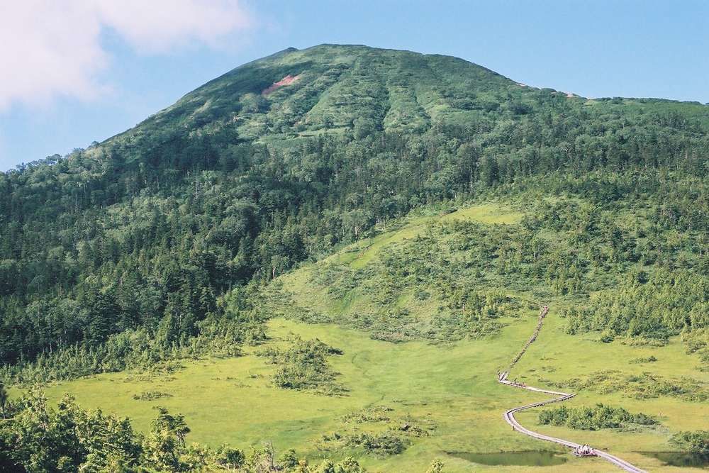 山腹の森（燧ケ岳）