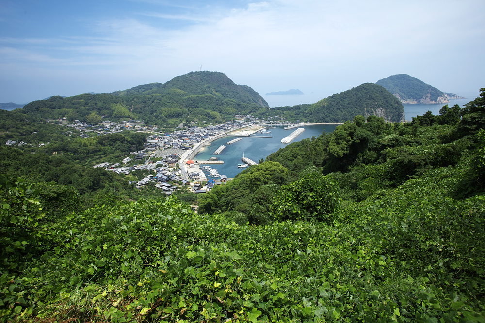 森と海が育む島々