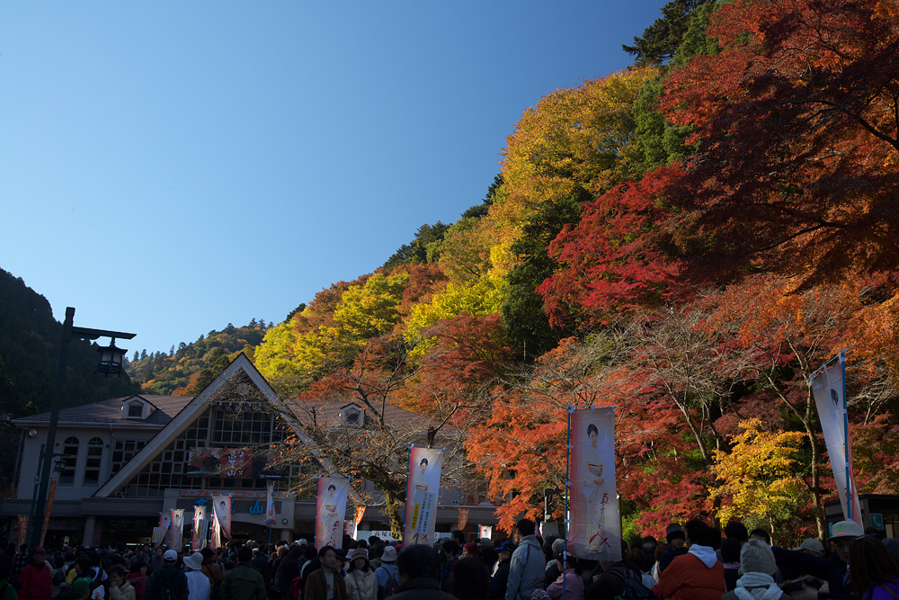 紅葉狩り