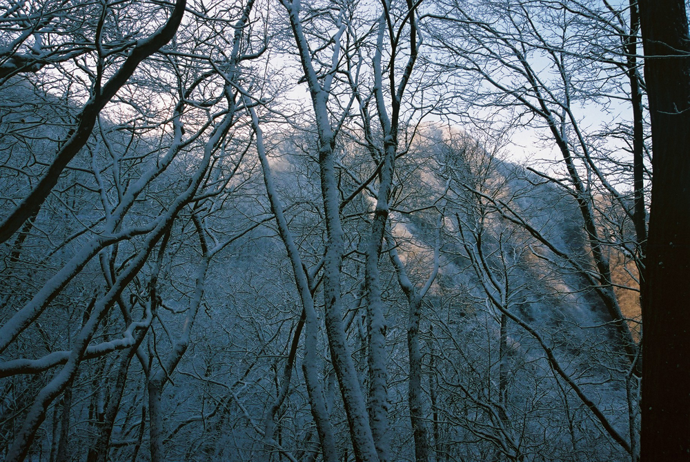 新雪の鷹巣山２