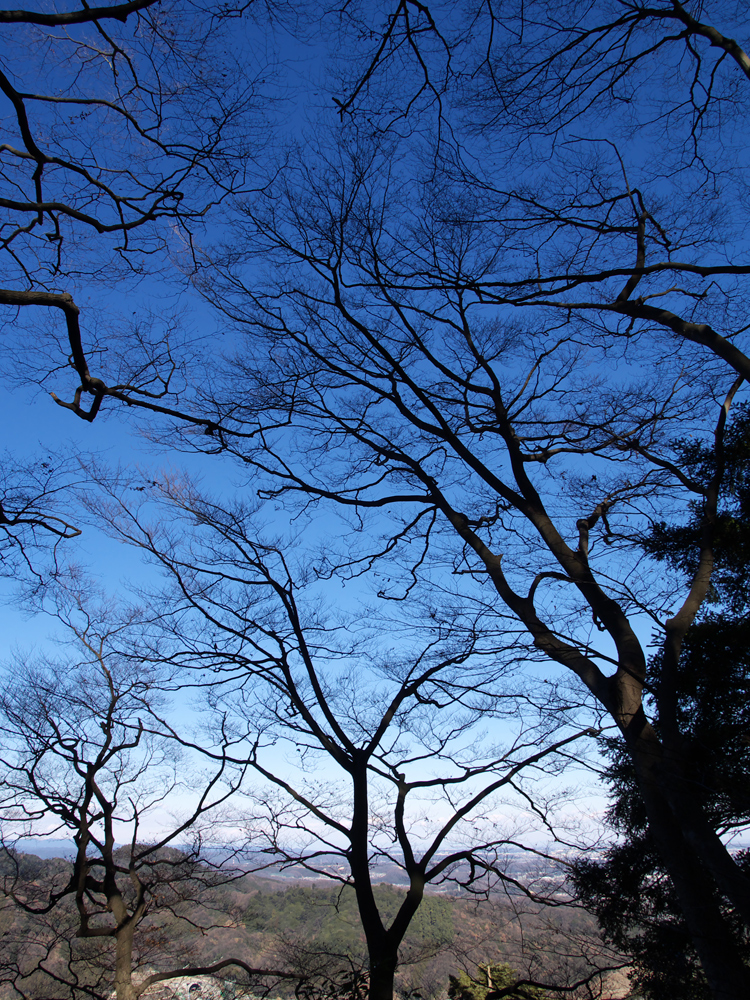 冬空