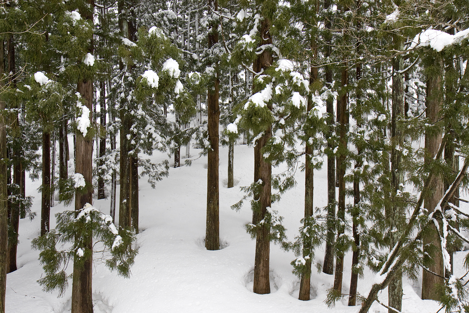 雪山