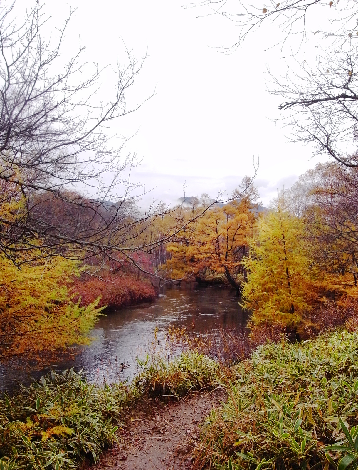 奥日光の紅葉