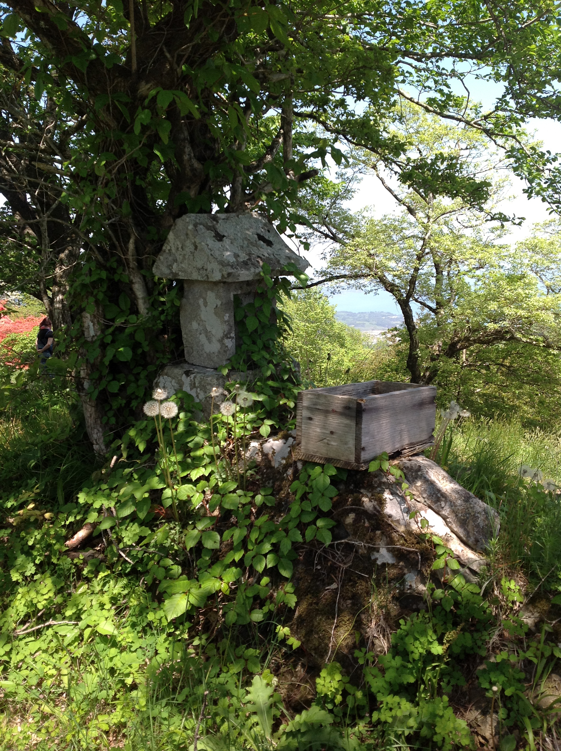 山頂のかみさま