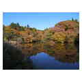 タイトル：春日山の紅葉