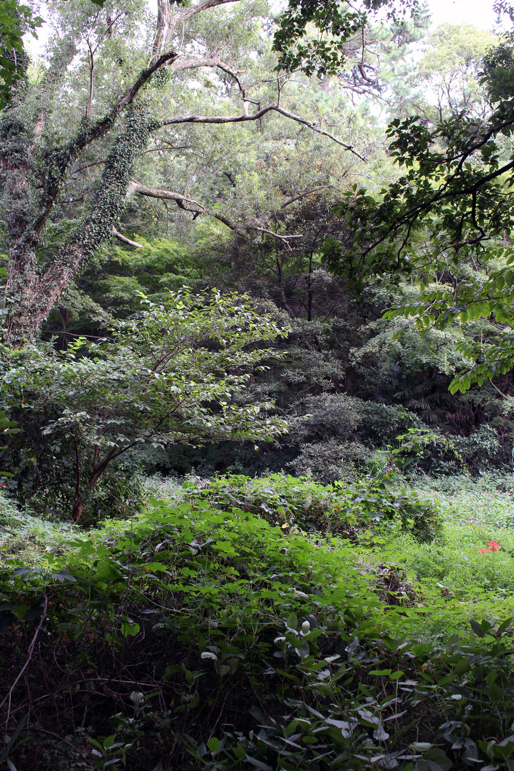 どこか懐かしい風景