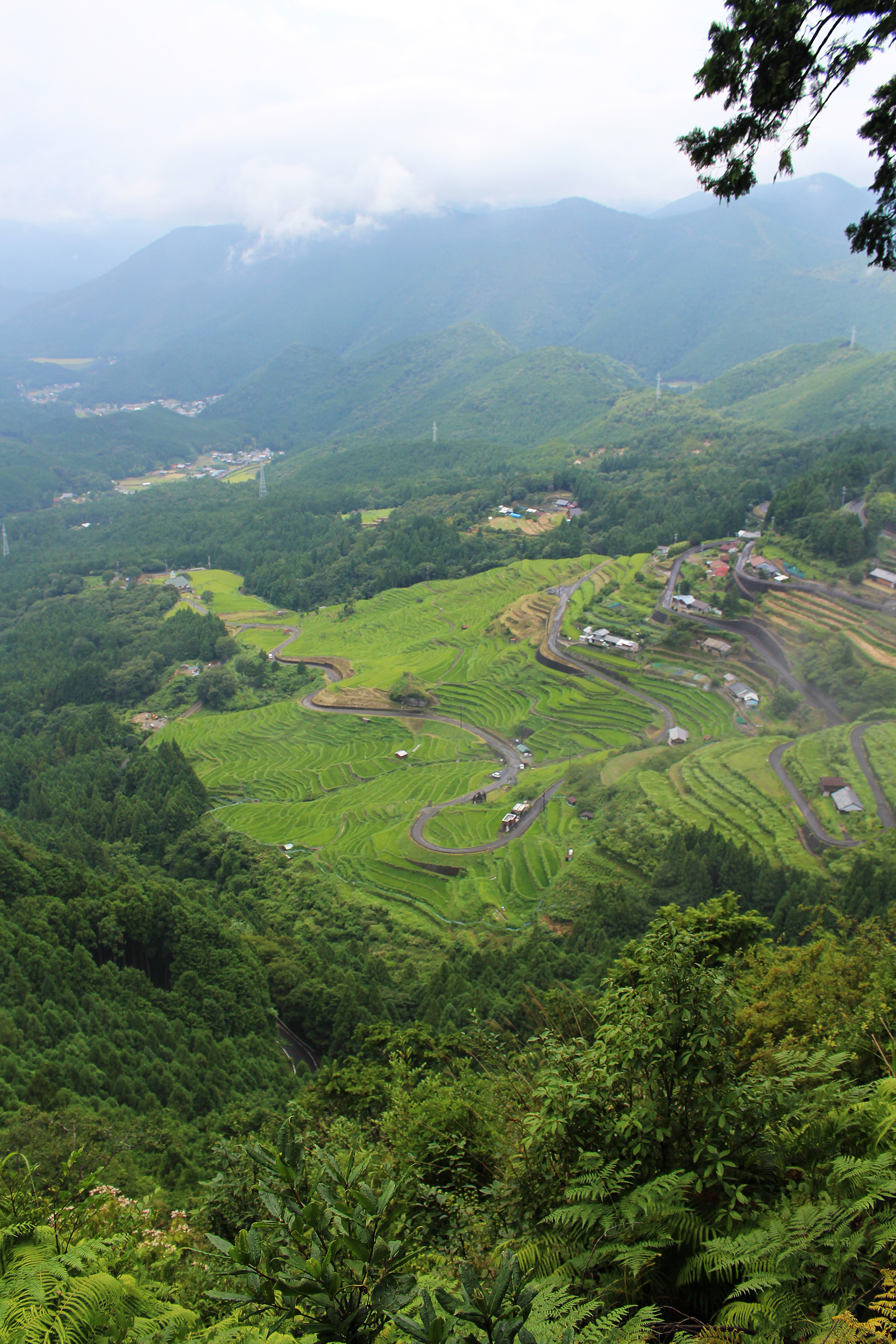 熊野古道から見る丸山千枚田