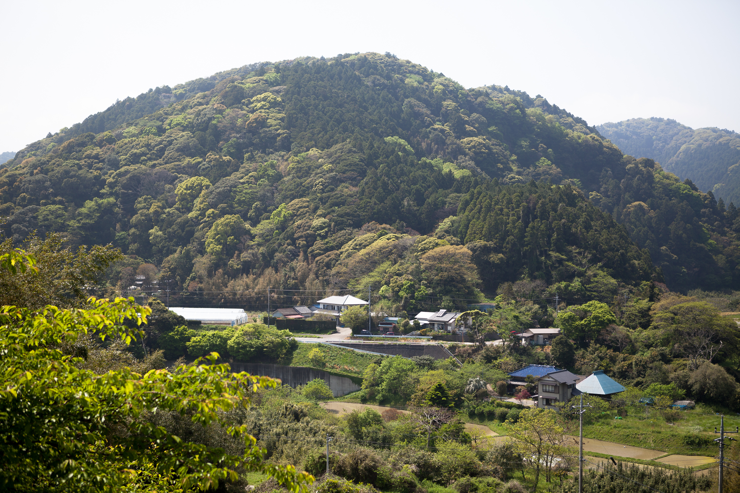 南房総の里山