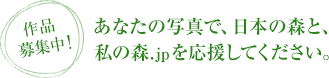 作品募集中！　あなたの写真で、日本の森と、私の森.jpを応援してください。