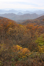 写真：軽井沢パレット