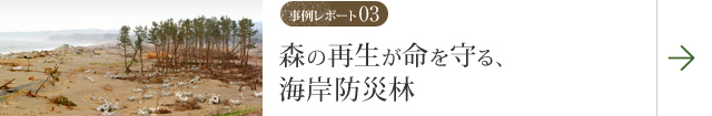 事例レポート03 森の再生が命を守る、海岸防災林