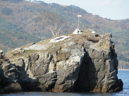 2011年11月18日　岩手県石巻市尾崎地区 海の中の岩場の上に、太陽光パネルと街灯が、しっかりと設置されています。（写真協力：つながり・ぬくもりプロジェクト）