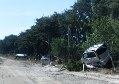 津波に押し流された車を海岸防災林が捕捉（林野庁資料より）